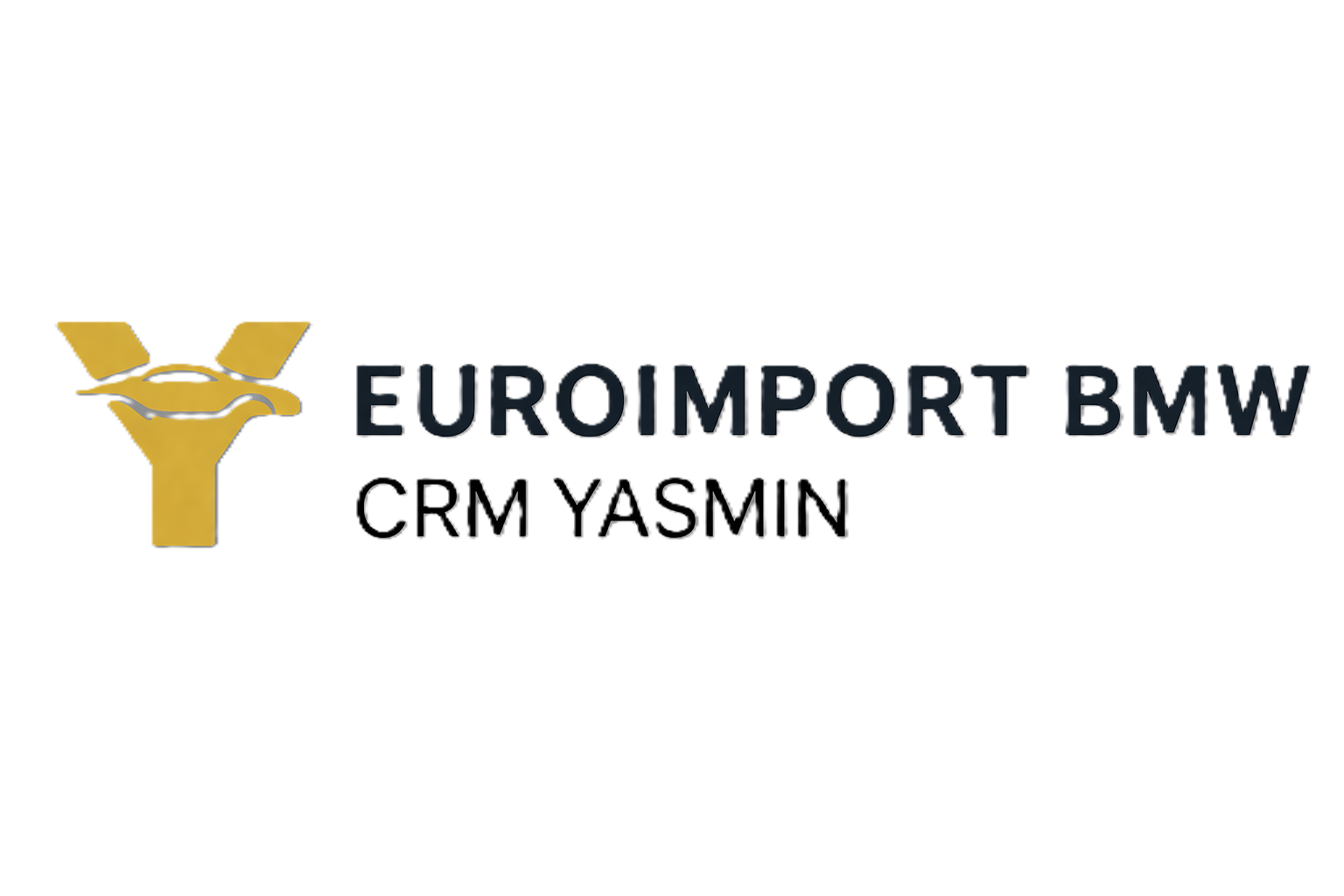 Euroimport BMW